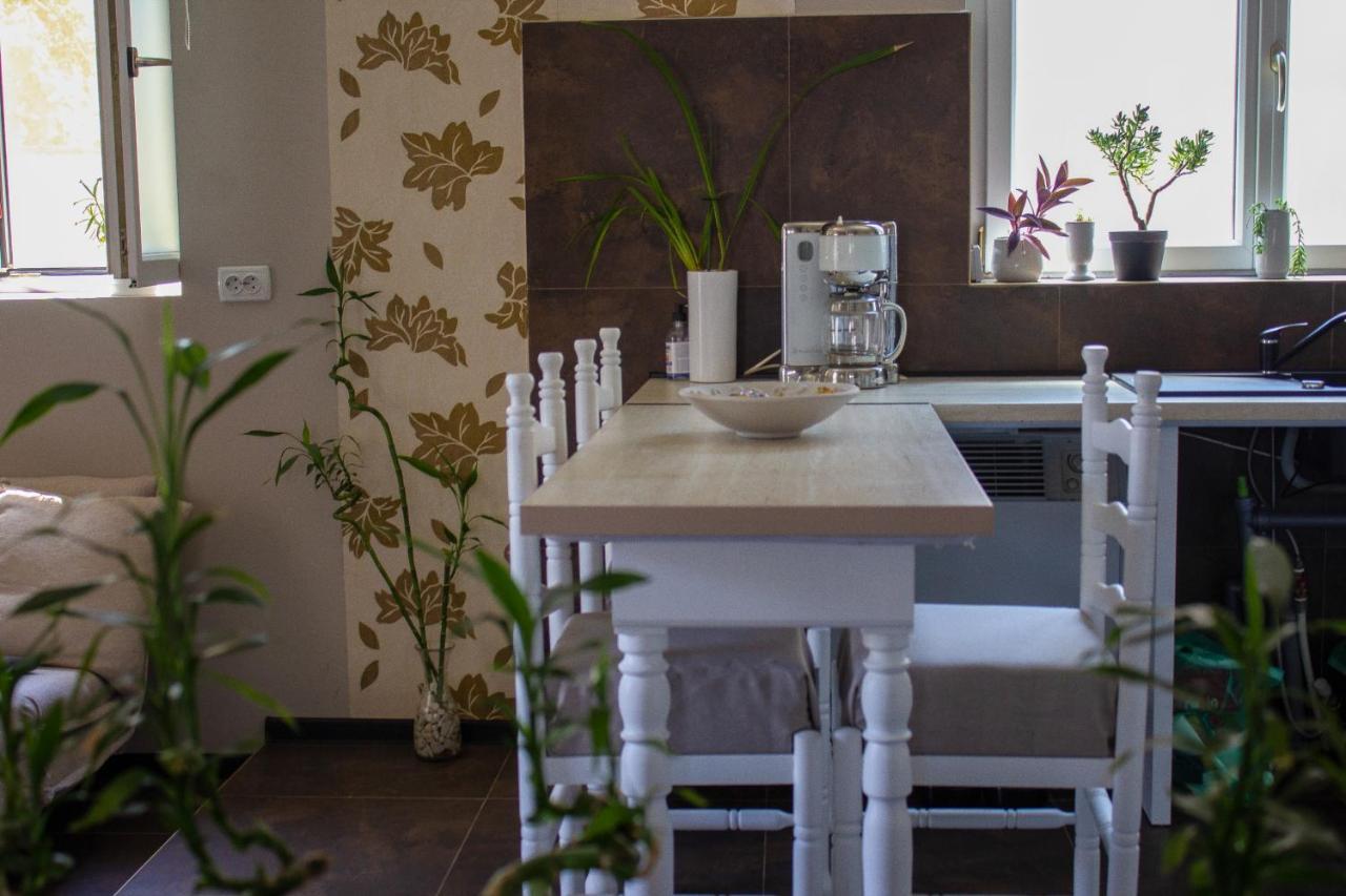 Yox Apartment 1 Oradea Εξωτερικό φωτογραφία